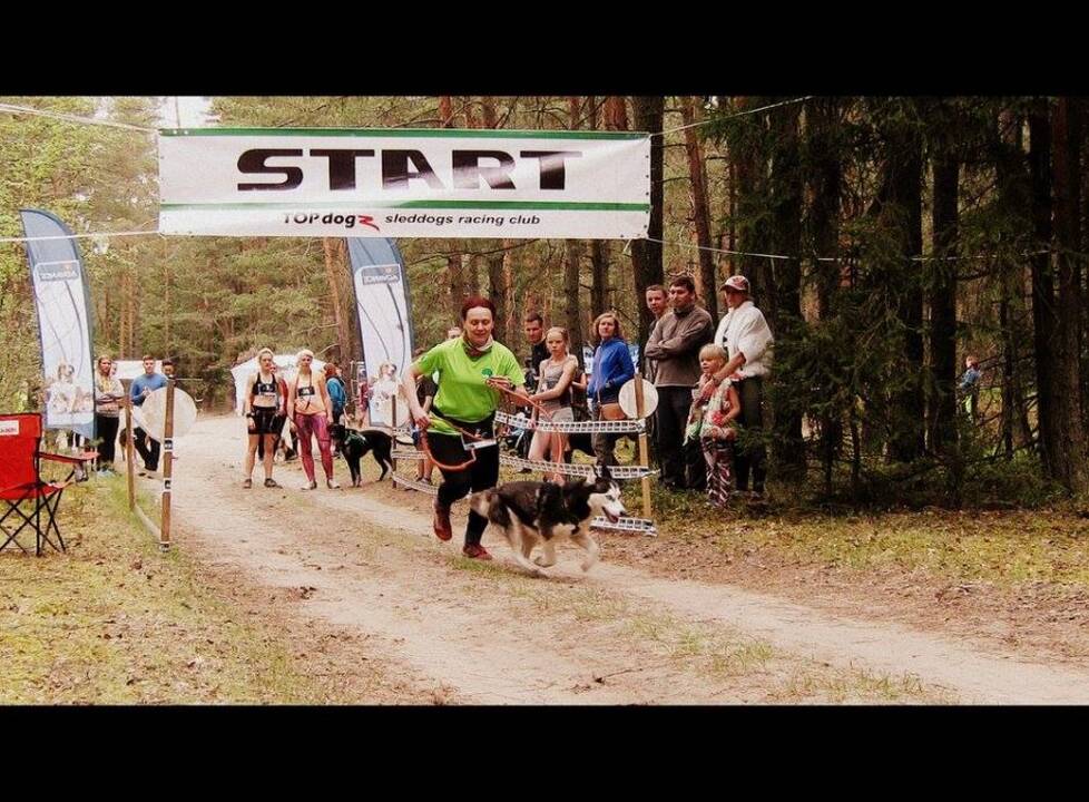 Bėgimo su šunimis varžybos