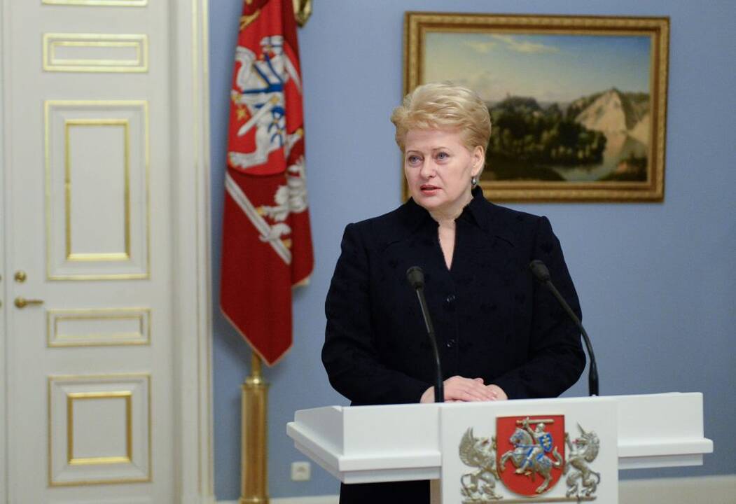 Prezidentūroje – Dalia Grybauskaitė, Algirdas Butkevičius, Jaroslavas Neverovičius