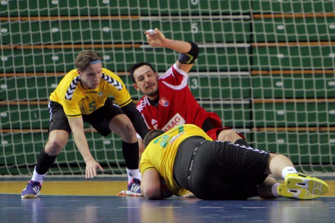 Europos vyrų rankinio čempionato atrankos rungtynėse lietuviai sužaidė lygiosiomis su slovakais.