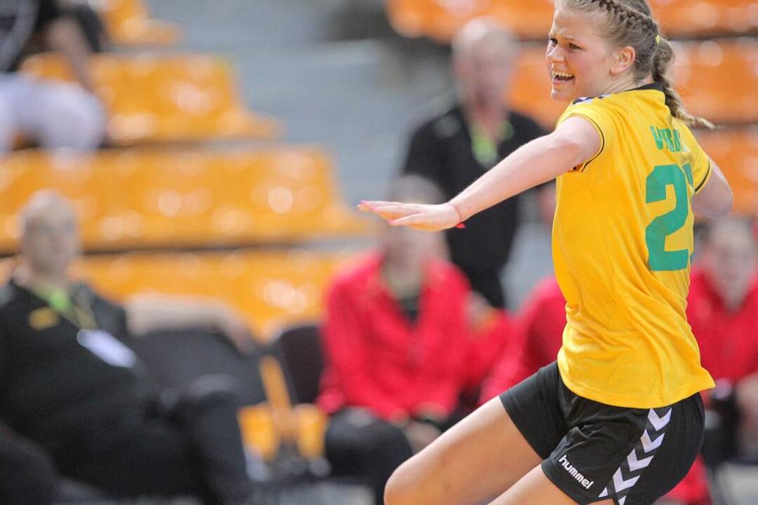 Rankinis: Lietuva – Rumunija 24:34