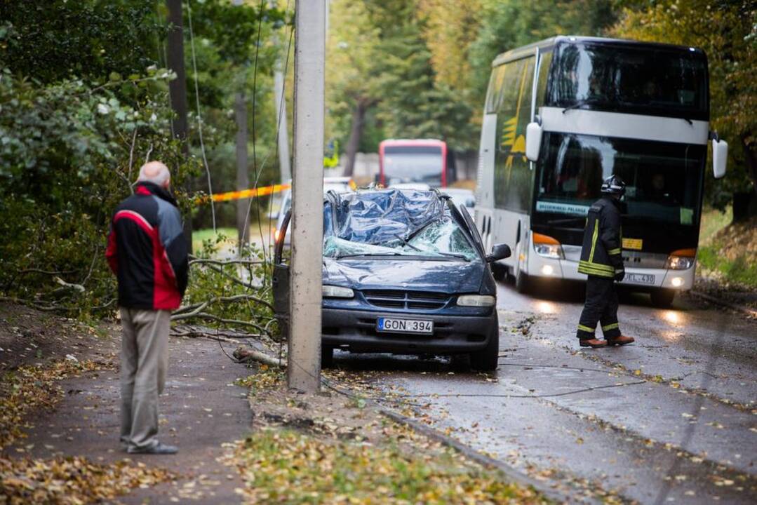 „Lietuvos draudimas“ šiemet atlygino rekordinę sumą už audrų žalas