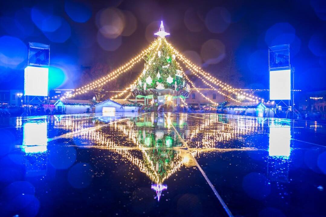 Kalėdų eglės įžiebimas