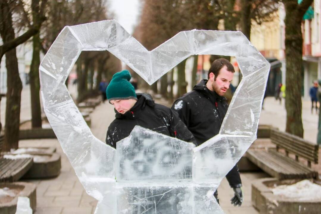 Laisvės alėjoje iškilo skulptūra iš ledo
