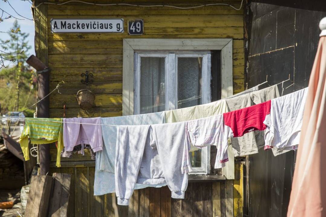 Pelėdų kalnas