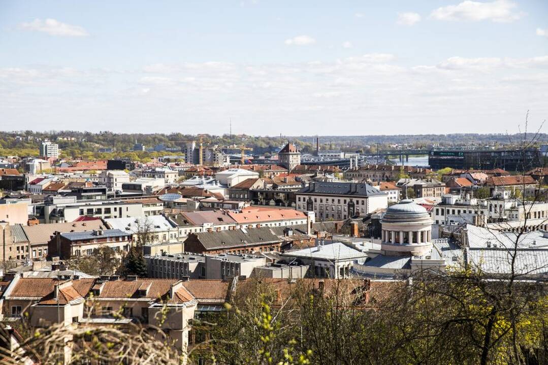 Pelėdų kalnas
