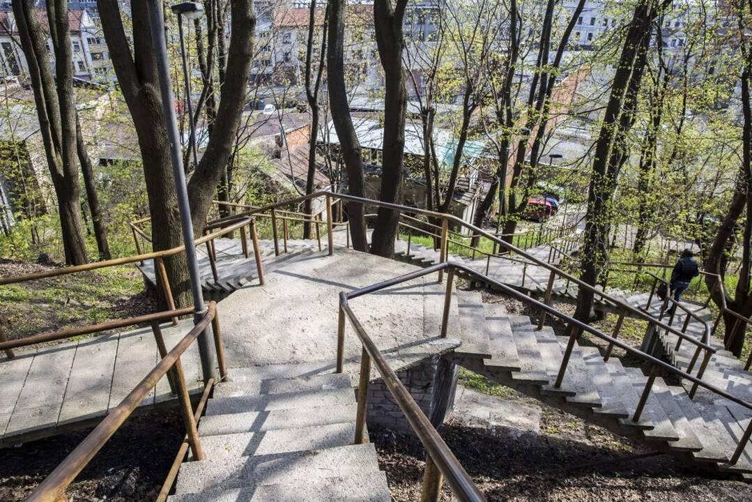 Pelėdų kalnas