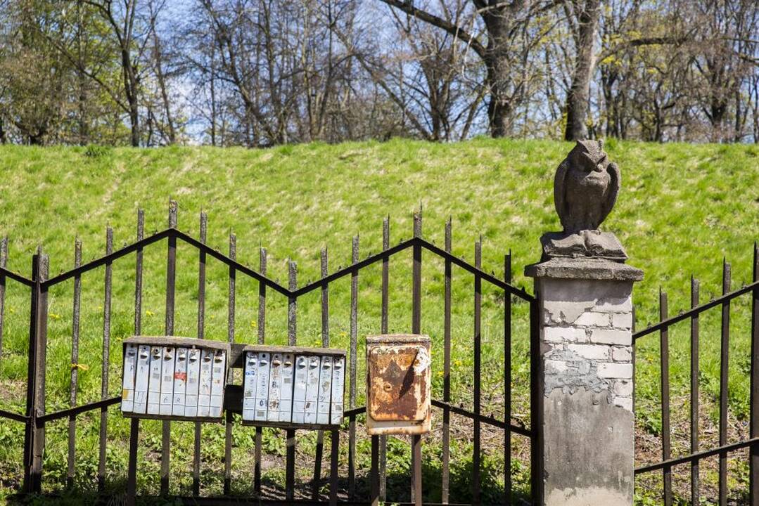 Pelėdų kalnas