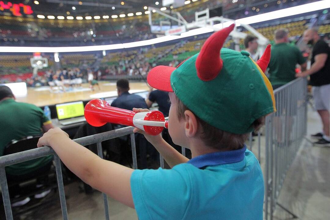 Krepšinio kontrolinės: Lietuva – Prancūzija 96:71