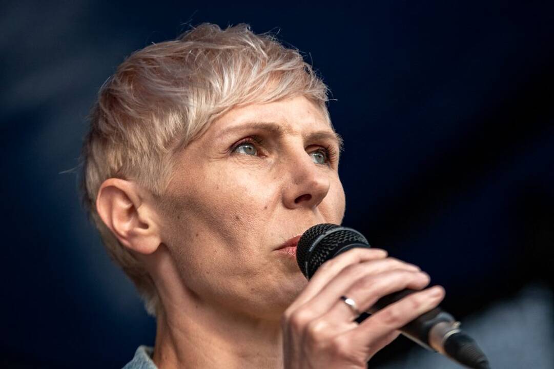 Pažaislio liepų alėjos vakarai | Andrius Kaniava ir grupė