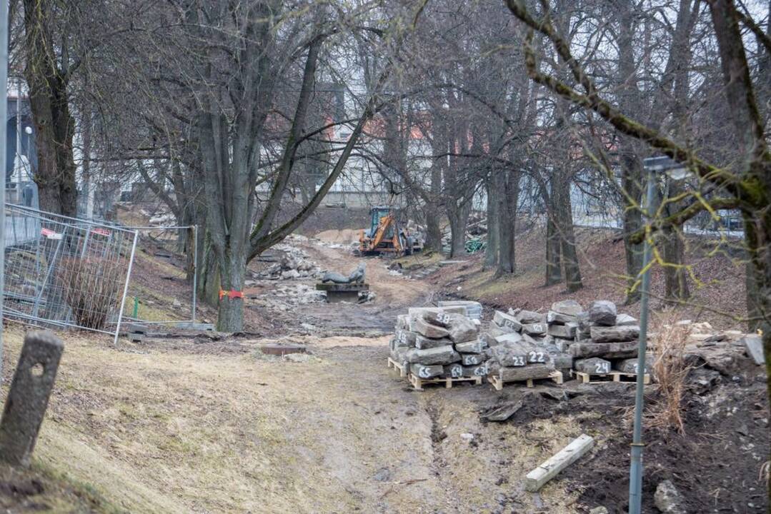 Piketas dėl Kauko laiptų medžių