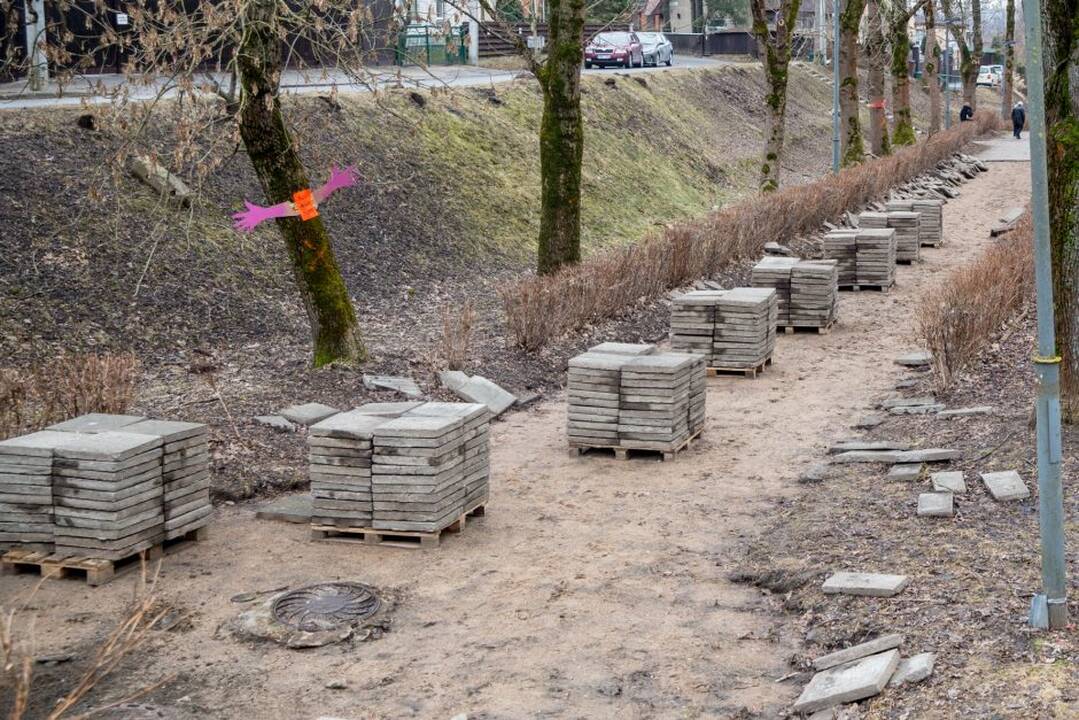 Piketas dėl Kauko laiptų medžių