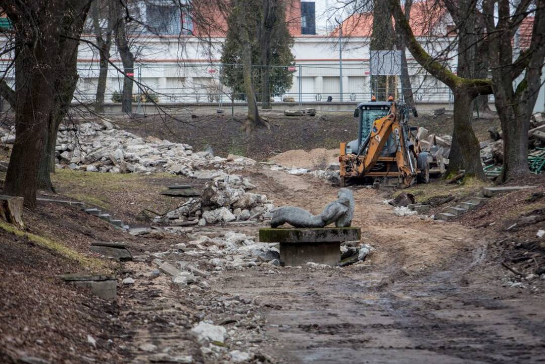 Piketas dėl Kauko laiptų medžių