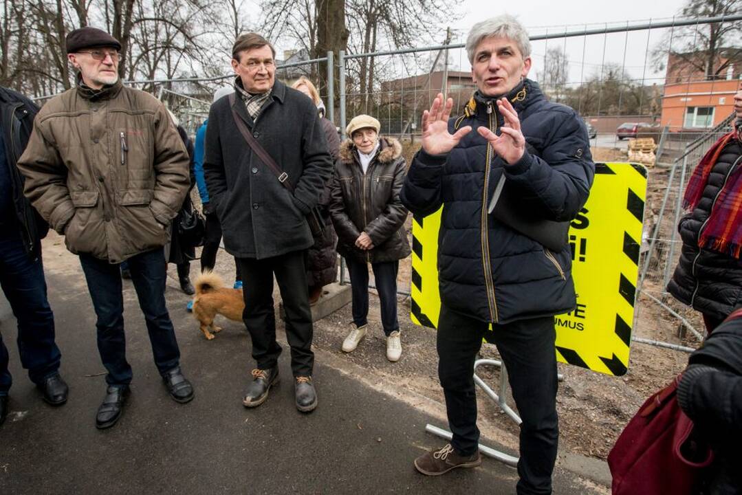 Piketas dėl Kauko laiptų medžių