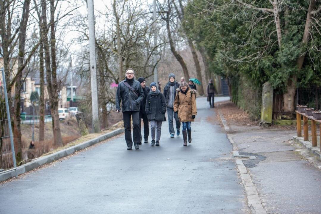 Piketas dėl Kauko laiptų medžių