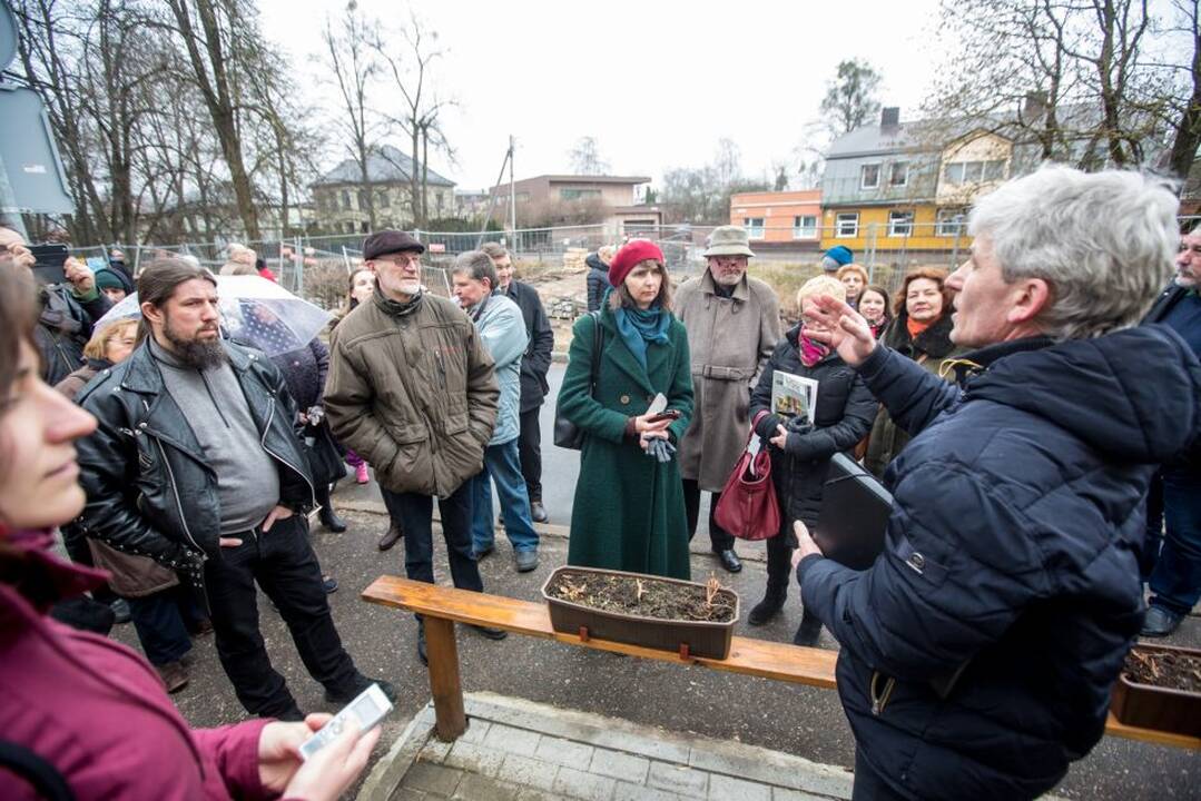 Piketas dėl Kauko laiptų medžių