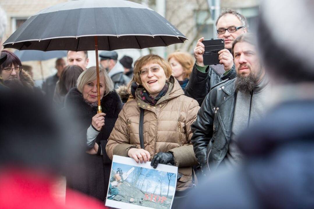 Piketas dėl Kauko laiptų medžių