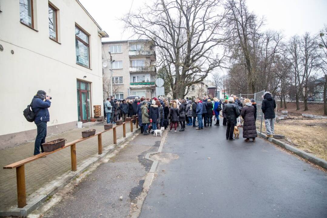 Piketas dėl Kauko laiptų medžių