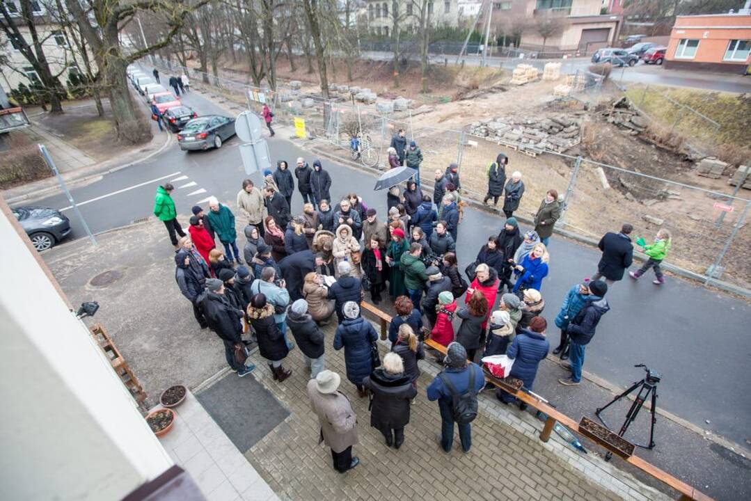 Piketas dėl Kauko laiptų medžių