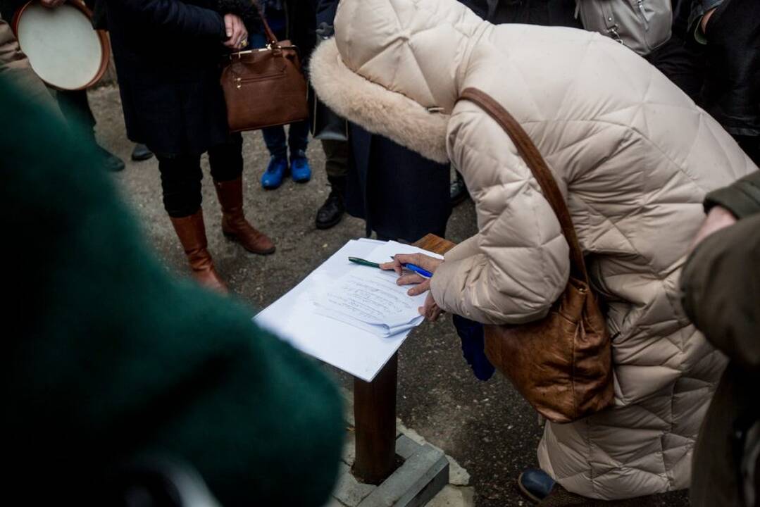 Piketas dėl Kauko laiptų medžių