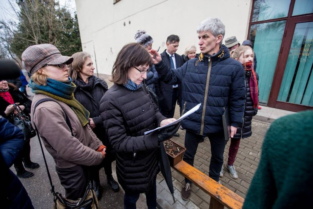 Piketas dėl Kauko laiptų medžių