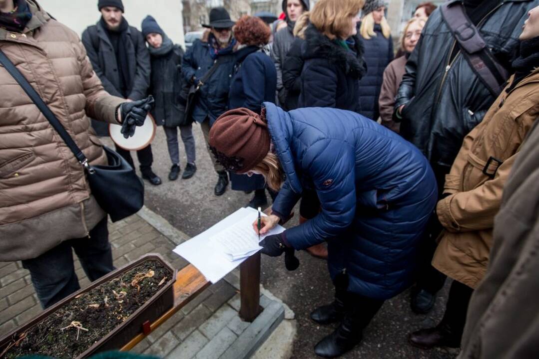 Piketas dėl Kauko laiptų medžių