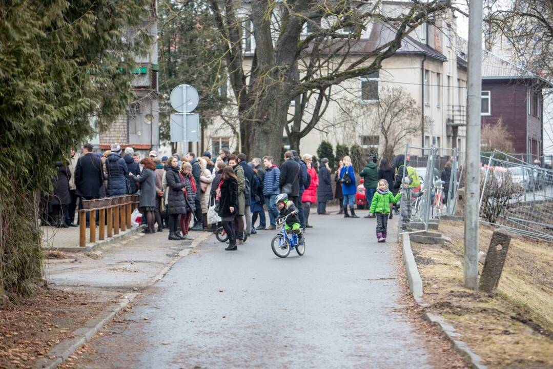 Piketas dėl Kauko laiptų medžių