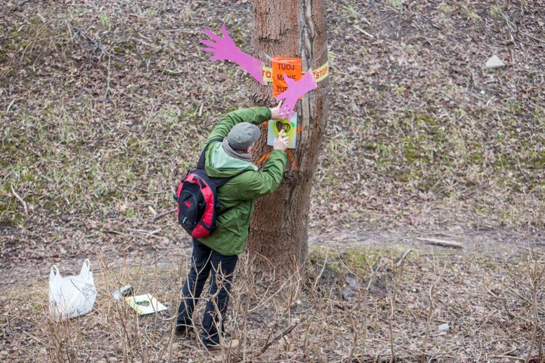 Piketas dėl Kauko laiptų medžių