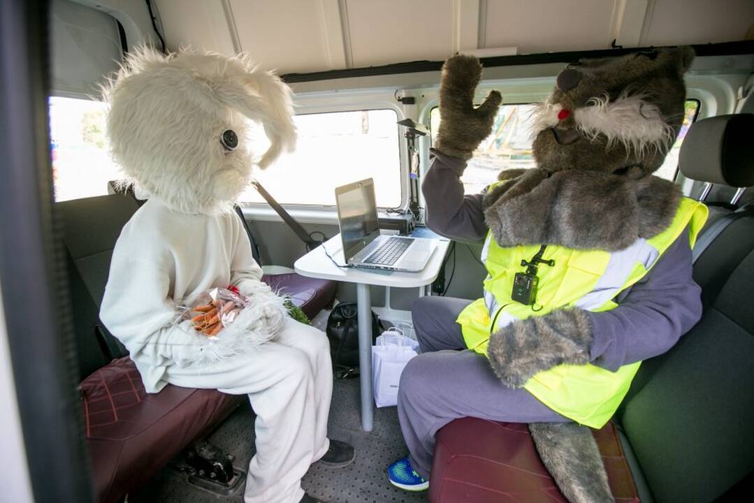 Zuikių gaudymo akcija Kauno viešajame transporte
