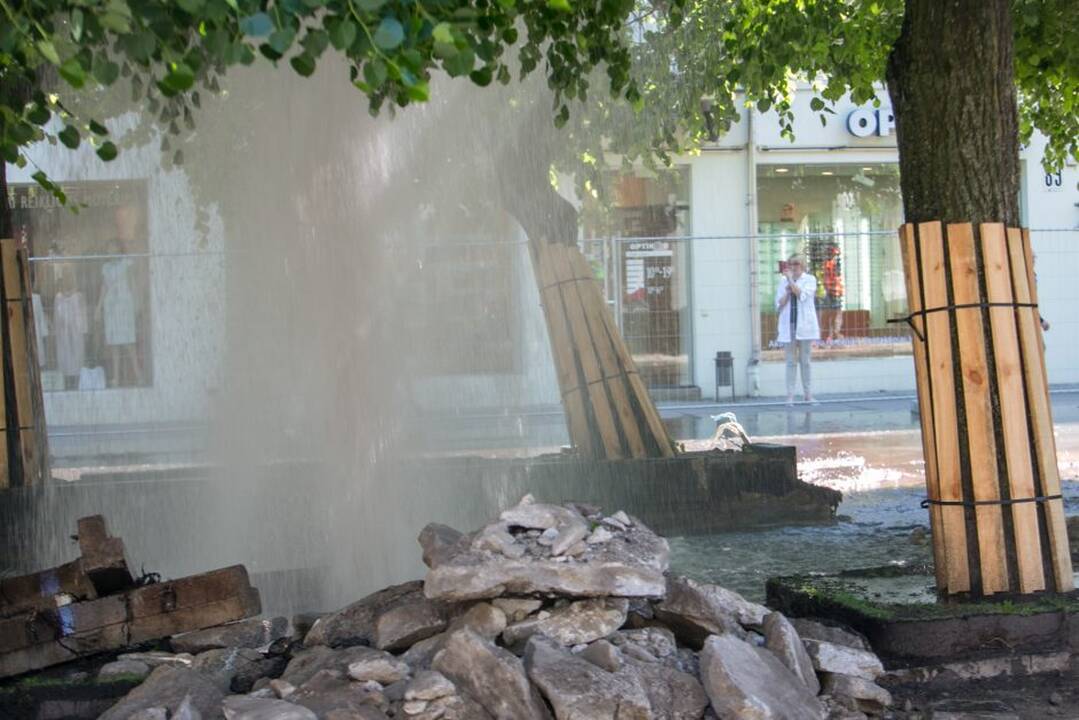 Prakirstas vandens vamzdis Laisvės al.