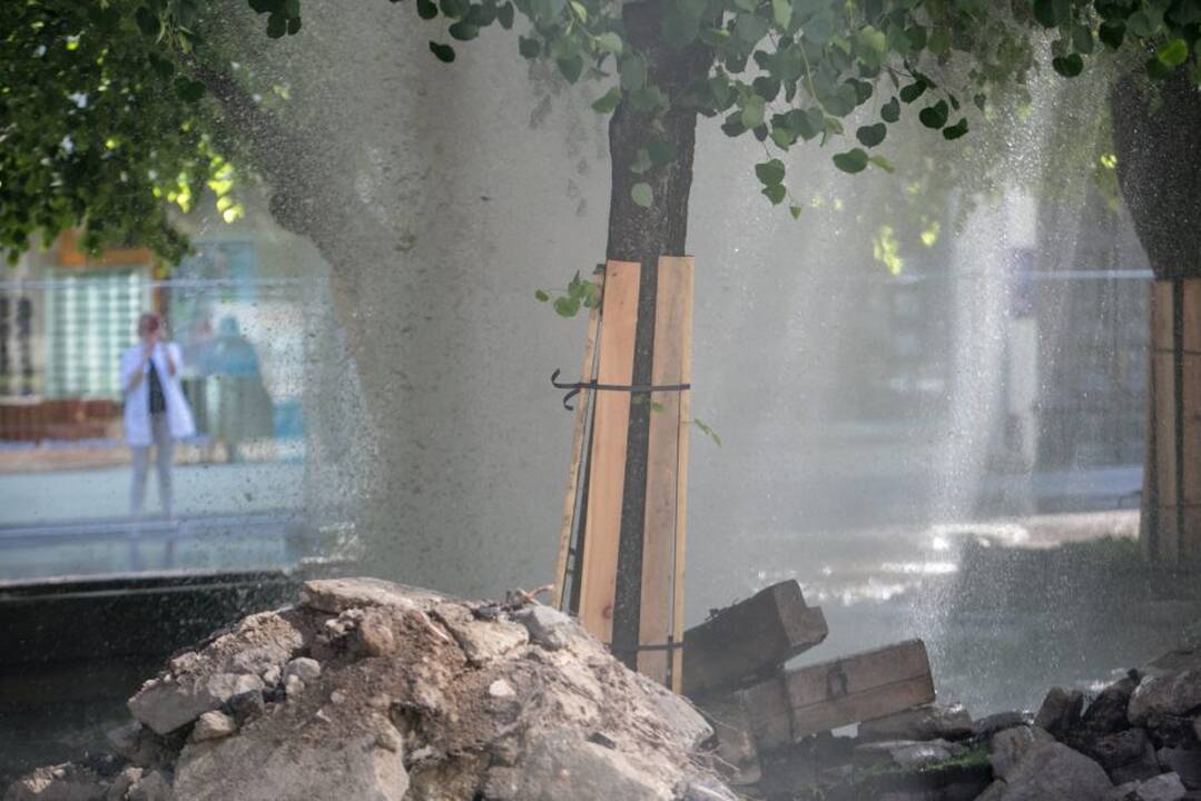 Prakirstas vandens vamzdis Laisvės al.