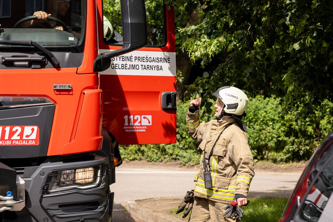 Sulaikymo operacija Kovo 11-osios gatvės dvylikaaukštyje