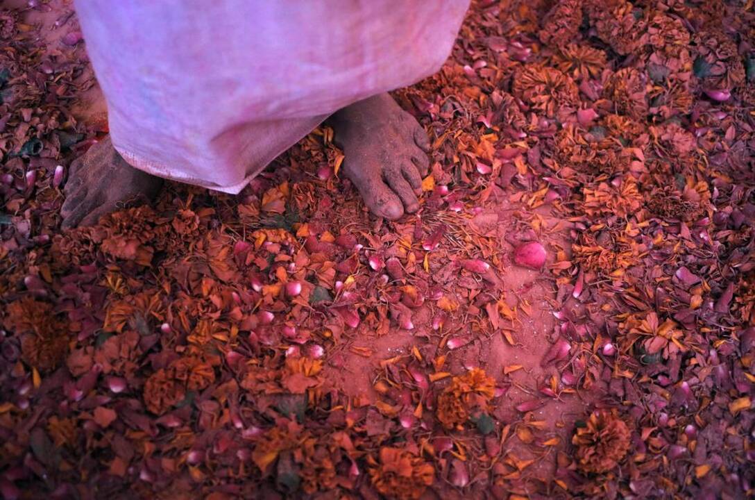 Spalvingoji Holi šventė Indijoje
