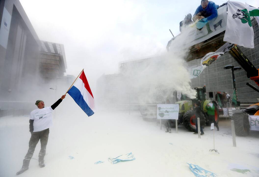 Pieno gamintojų protestas Briuselyje