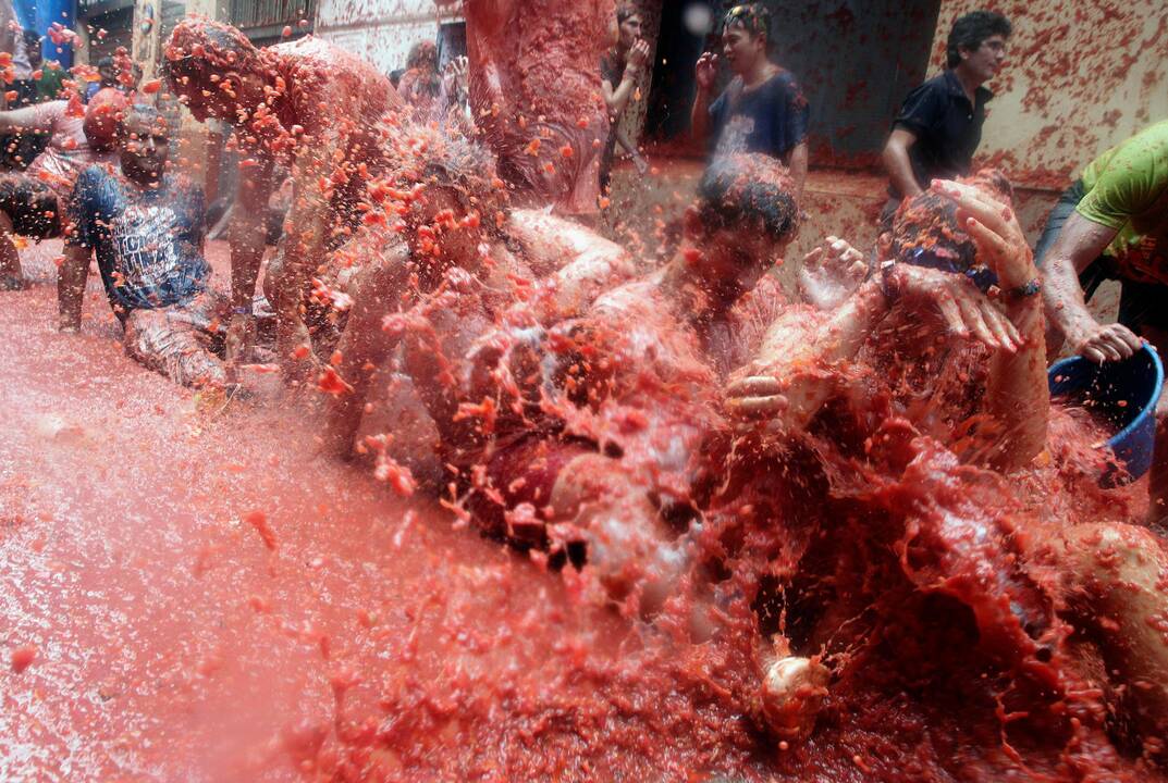 Festivalis „Tomatina“ Ispanijoje