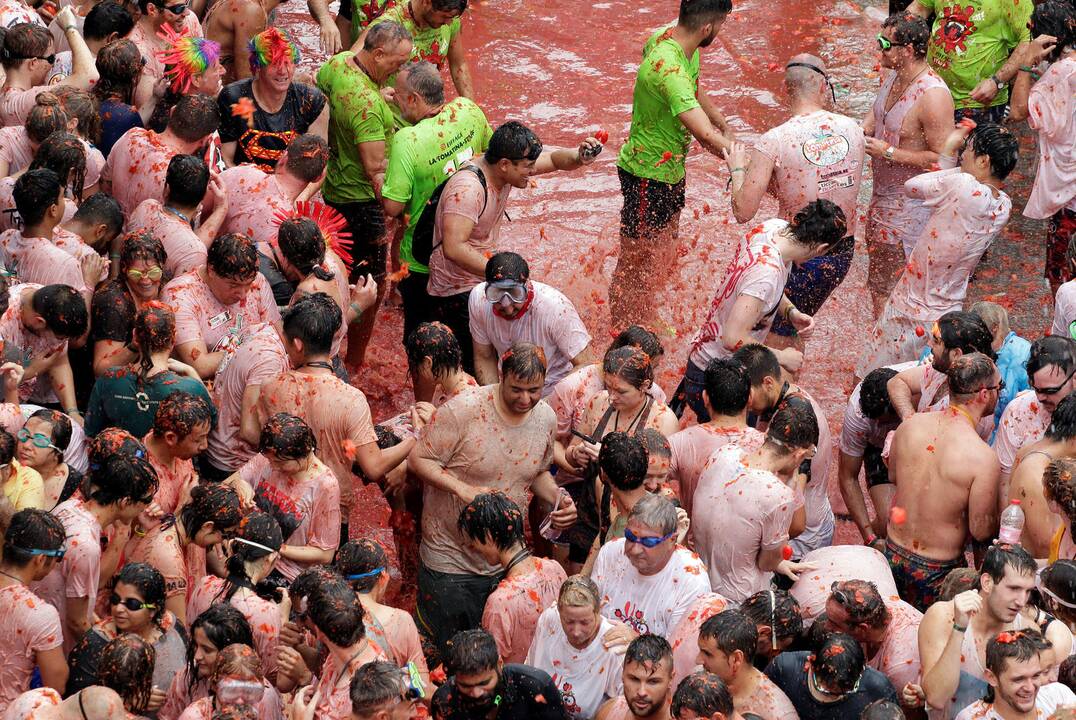 Festivalis „Tomatina“ Ispanijoje