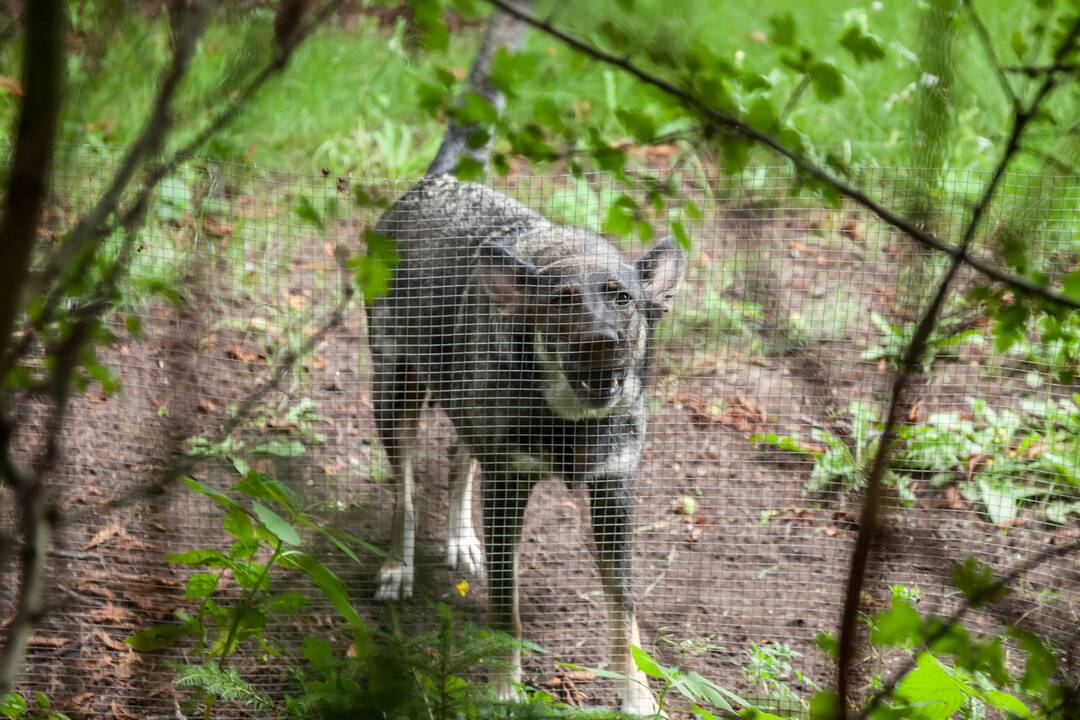 Aprodė užgrobtus sklypus prie Neries