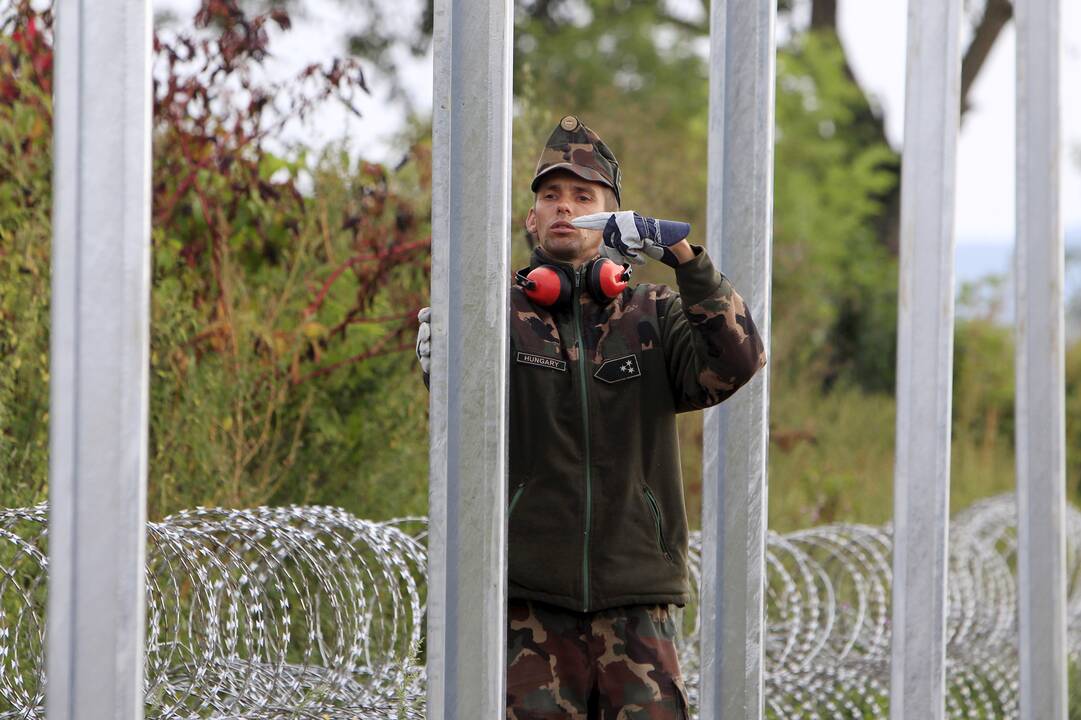 Vengrija pradėjo tiesti spygliuotą tvorą pasienyje su Slovėnija