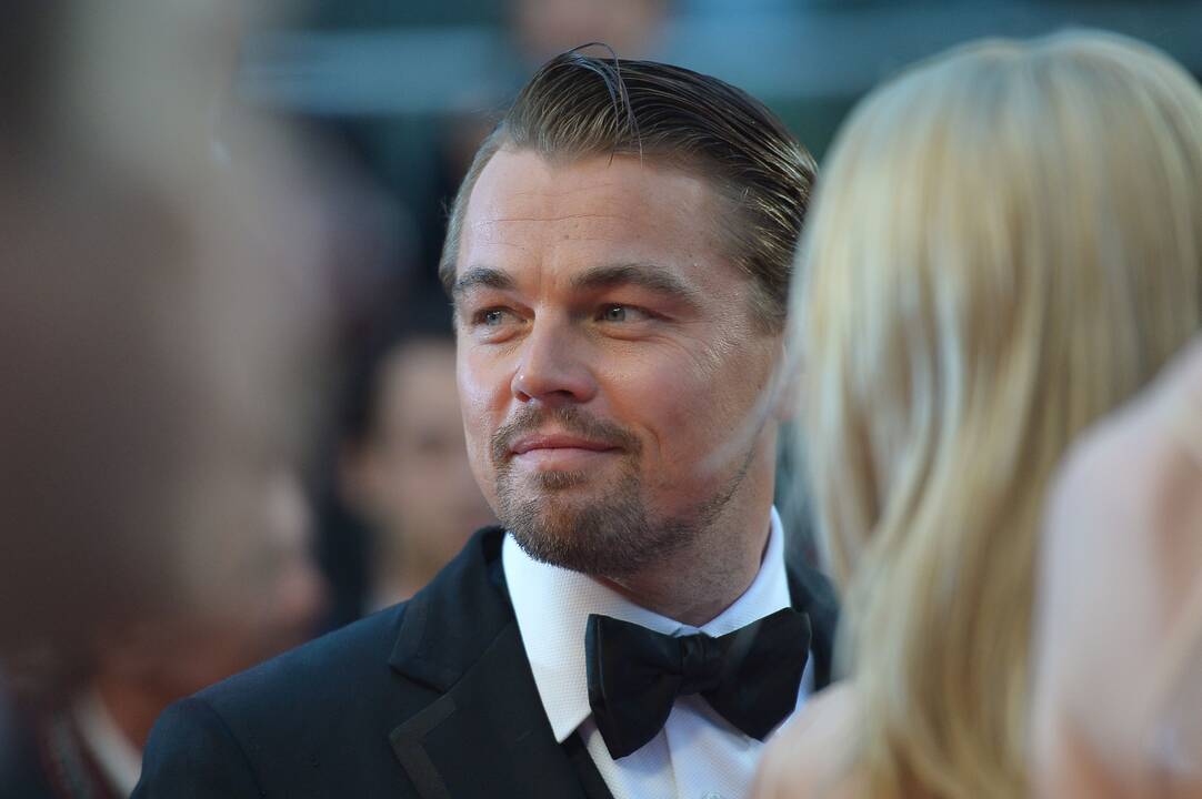 L. DiCaprio naujoji mergina patvirtino pranešimus apie romaną