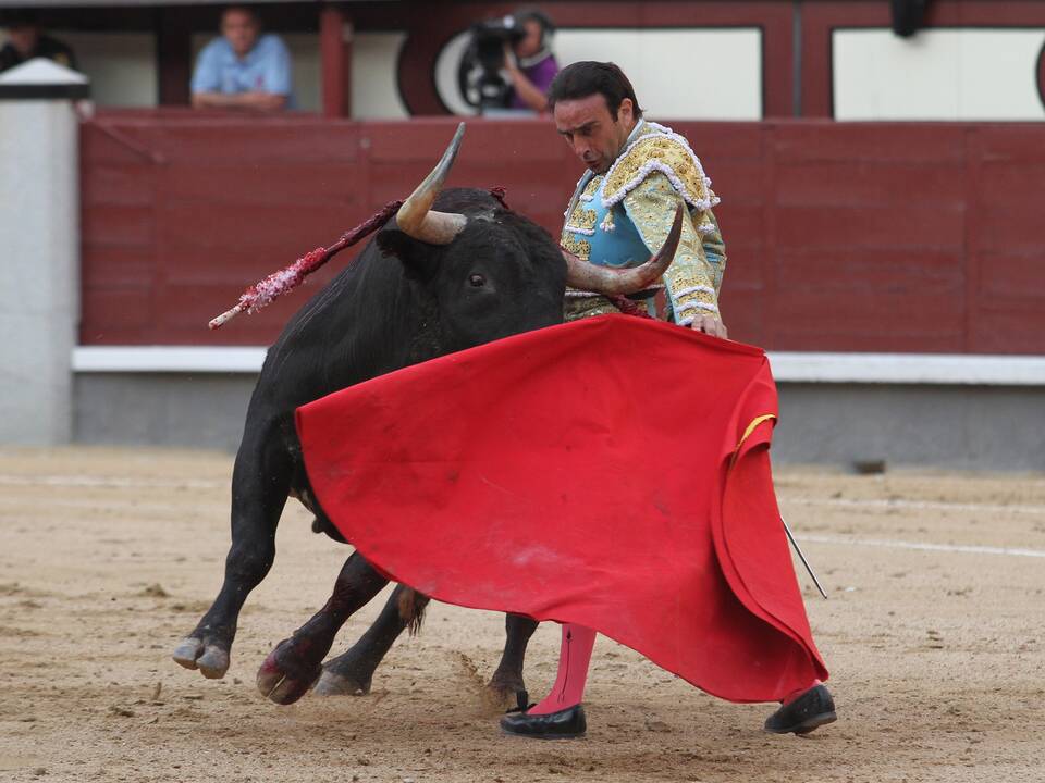 Ispanija: gera žinia buliams, pradinukams ir kai kuriems bedarbiams