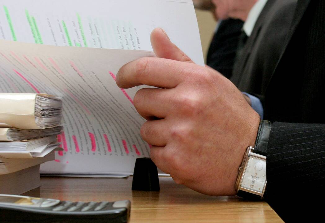 Kandidatė į Apeliacinio teismo teisėjas: bankroto bylas reikia kelti greičiau