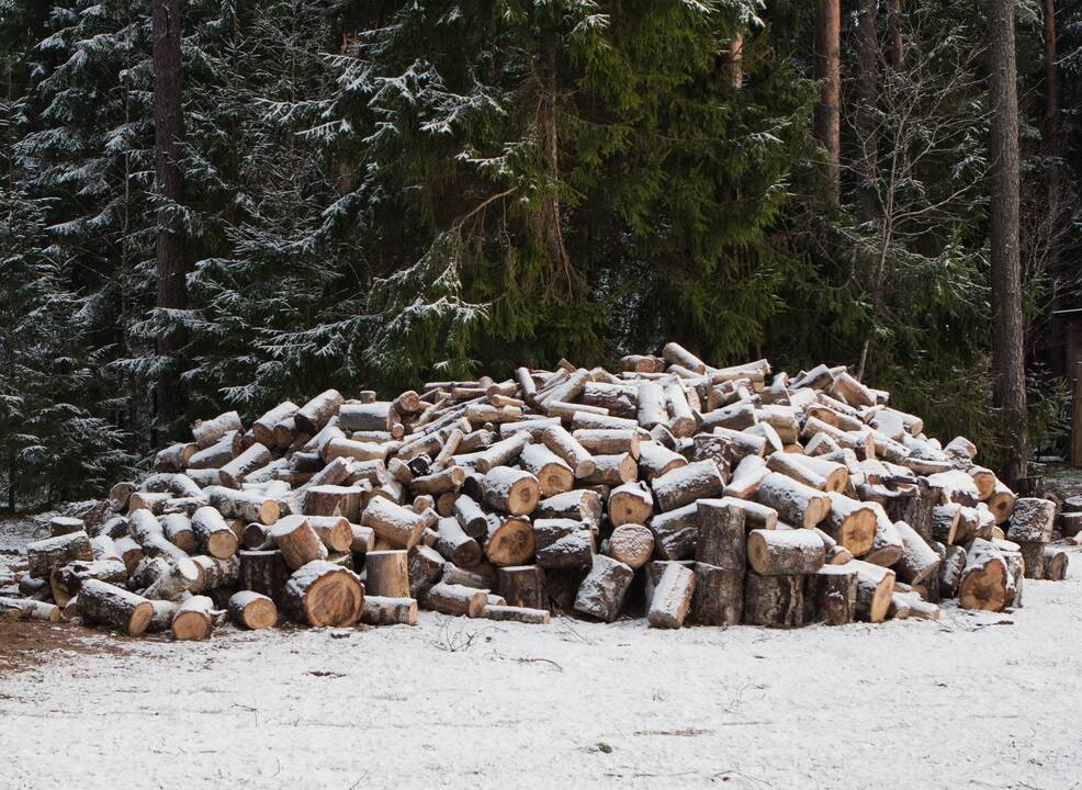 Kaip apsirūpinti malkomis vienišam žmogui?