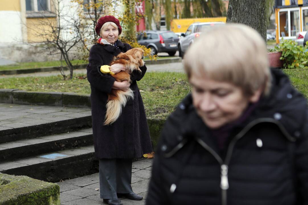 Atidengta atminimo lenta Rymantui Černiauskui