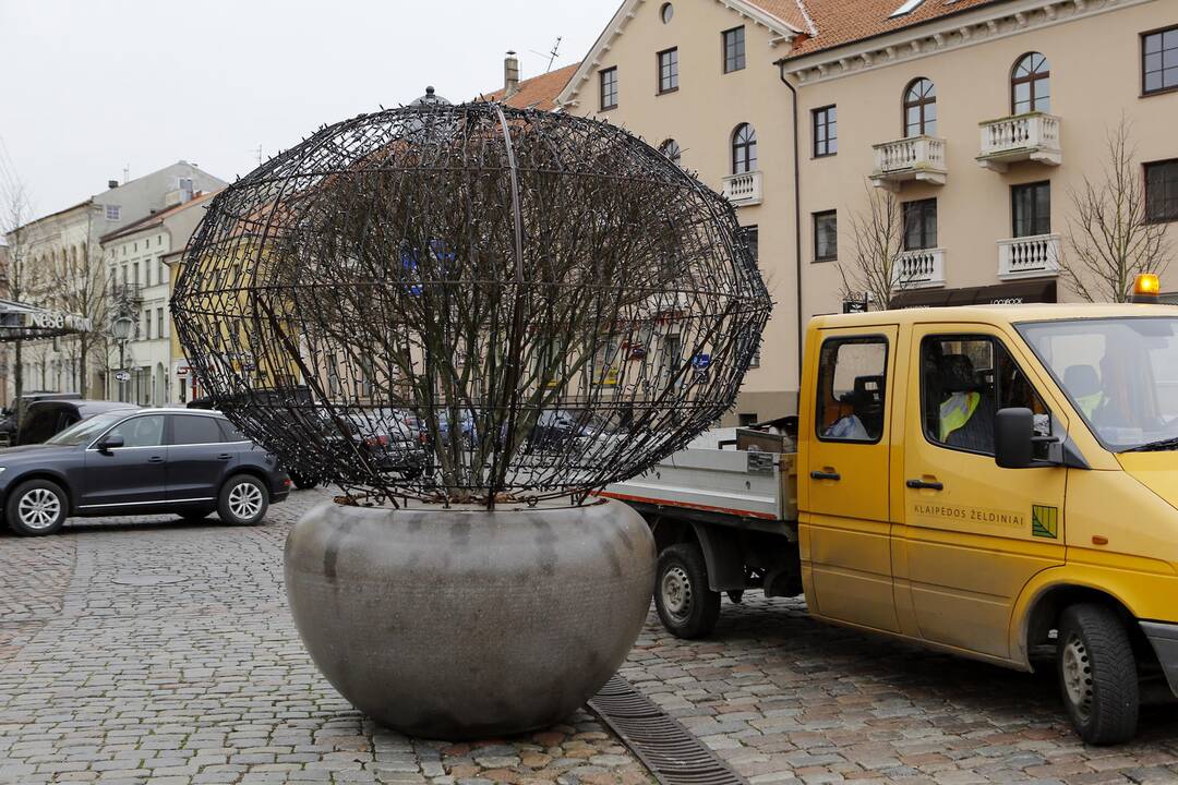 Kalėdinės eglutės atvežimas į Teatro aikštę