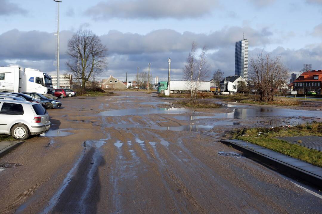 Vilkikai įsikraustė į svetimą žemę