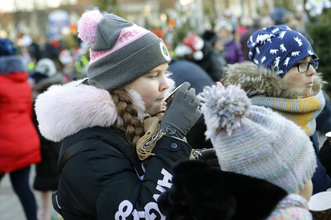 100 eglučių Atgimimo aikštėje puošimas