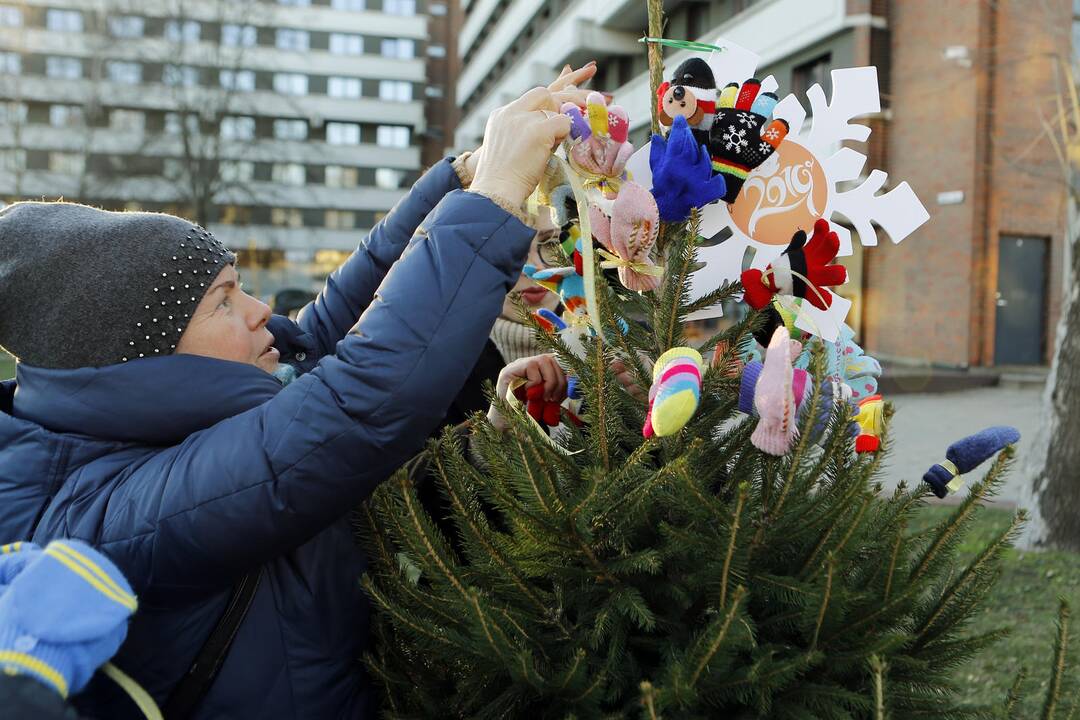 100 eglučių Atgimimo aikštėje puošimas