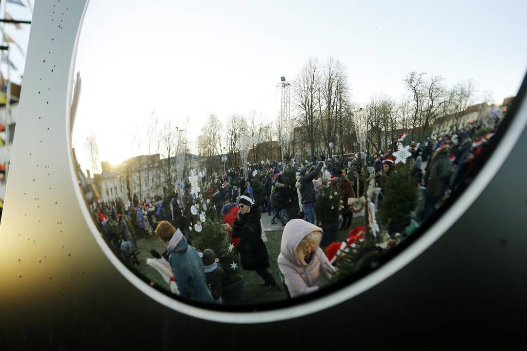 100 eglučių Atgimimo aikštėje puošimas