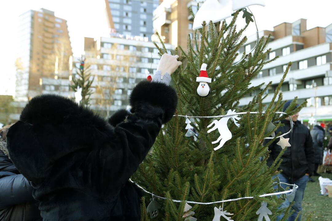 100 eglučių Atgimimo aikštėje puošimas