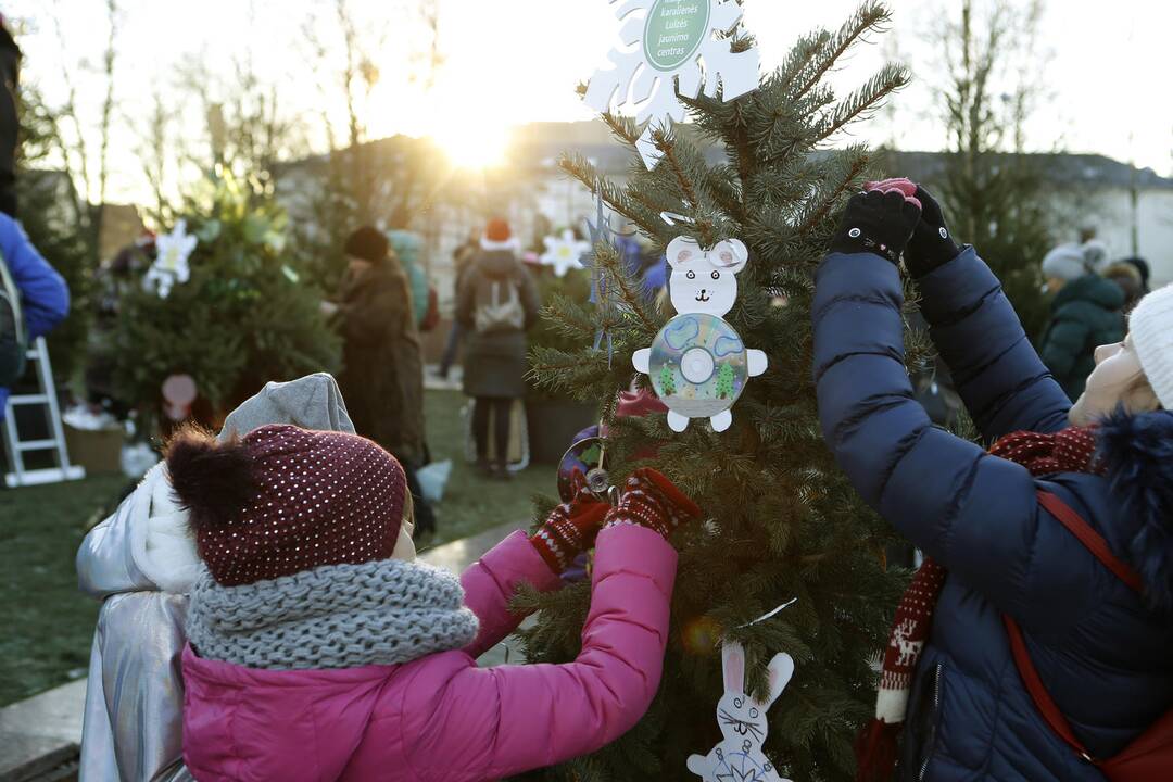 100 eglučių Atgimimo aikštėje puošimas