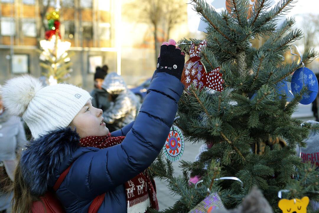 100 eglučių Atgimimo aikštėje puošimas